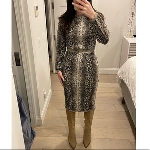 Zara Snakeprint Midi Long Sleeved Dress